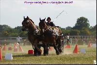Photo n 49179&#10;Meslay du Maine CdF trait 2019 photo  M.A Jeanjean&#10;&#10;Affiche 11 fois&#10;Ajoute le 06/10/2019 08:52:47 par JeanClaudeGrognet&#10;&#10;--> Cliquer pour agrandir <--