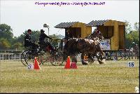 Photo n 49180&#10;Meslay du Maine CdF trait 2019 photo  M.A Jeanjean&#10;&#10;Affiche 13 fois&#10;Ajoute le 06/10/2019 08:52:47 par JeanClaudeGrognet&#10;&#10;--> Cliquer pour agrandir <--