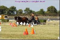 Photo n 49182&#10;Meslay du Maine CdF trait 2019 photo  M.A Jeanjean&#10;&#10;Affiche 11 fois&#10;Ajoute le 06/10/2019 08:52:47 par JeanClaudeGrognet&#10;&#10;--> Cliquer pour agrandir <--