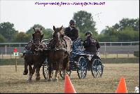 Photo n 49184&#10;Meslay du Maine CdF trait 2019 photo  M.A Jeanjean&#10;&#10;Affiche 11 fois&#10;Ajoute le 06/10/2019 08:52:47 par JeanClaudeGrognet&#10;&#10;--> Cliquer pour agrandir <--