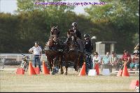 Photo n 49185&#10;Meslay du Maine CdF trait 2019 photo  M.A Jeanjean&#10;&#10;Affiche 6 fois&#10;Ajoute le 06/10/2019 08:52:47 par JeanClaudeGrognet&#10;&#10;--> Cliquer pour agrandir <--
