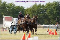 Photo n° 49186
Meslay du Maine CdF trait 2019 photo  M.A Jeanjean

Affichée 9 fois
Ajoutée le 06/10/2019 08:52:47 par JeanClaudeGrognet

--> Cliquer pour agrandir <--