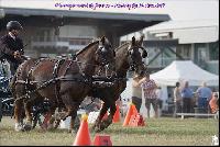 Photo n 49188&#10;Meslay du Maine CdF trait 2019 photo  M.A Jeanjean&#10;&#10;Affiche 7 fois&#10;Ajoute le 06/10/2019 08:52:47 par JeanClaudeGrognet&#10;&#10;--> Cliquer pour agrandir <--
