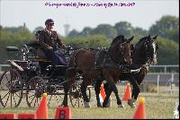 Photo n 49190&#10;Meslay du Maine CdF trait 2019 photo  M.A Jeanjean&#10;&#10;Affiche 15 fois&#10;Ajoute le 06/10/2019 08:52:47 par JeanClaudeGrognet&#10;&#10;--> Cliquer pour agrandir <--
