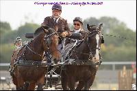 Photo n 49191&#10;Meslay du Maine CdF trait 2019 photo  M.A Jeanjean&#10;&#10;Affiche 15 fois&#10;Ajoute le 06/10/2019 08:52:47 par JeanClaudeGrognet&#10;&#10;--> Cliquer pour agrandir <--