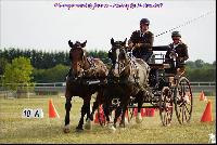 Photo n 49192&#10;Meslay du Maine CdF trait 2019 photo  M.A Jeanjean&#10;&#10;Affiche 11 fois&#10;Ajoute le 06/10/2019 08:52:47 par JeanClaudeGrognet&#10;&#10;--> Cliquer pour agrandir <--