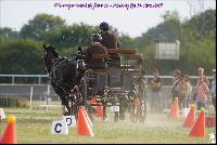 Photo n 49193&#10;Meslay du Maine CdF trait 2019 photo  M.A Jeanjean&#10;&#10;Affiche 9 fois&#10;Ajoute le 06/10/2019 08:52:47 par JeanClaudeGrognet&#10;&#10;--> Cliquer pour agrandir <--