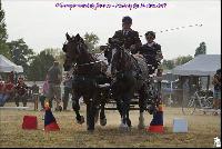 Photo n 49194&#10;Meslay du Maine CdF trait 2019 photo  M.A Jeanjean&#10;&#10;Affiche 8 fois&#10;Ajoute le 06/10/2019 08:52:47 par JeanClaudeGrognet&#10;&#10;--> Cliquer pour agrandir <--