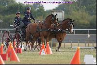 Photo n 49199&#10;Meslay du Maine CdF trait 2019 photo  M.A Jeanjean&#10;&#10;Affiche 15 fois&#10;Ajoute le 06/10/2019 08:52:47 par JeanClaudeGrognet&#10;&#10;--> Cliquer pour agrandir <--