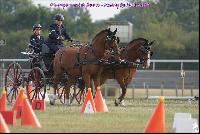 Photo n° 49199
Meslay du Maine CdF trait 2019 photo  M.A Jeanjean

Affichée 12 fois
Ajoutée le 06/10/2019 08:52:47 par JeanClaudeGrognet

--> Cliquer pour agrandir <--