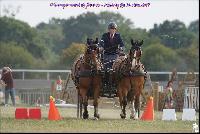 Photo n 49200&#10;Meslay du Maine CdF trait 2019 photo  M.A Jeanjean&#10;&#10;Affiche 11 fois&#10;Ajoute le 06/10/2019 08:52:47 par JeanClaudeGrognet&#10;&#10;--> Cliquer pour agrandir <--