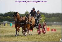 Photo n 49202&#10;Meslay du Maine CdF trait 2019 photo  M.A Jeanjean&#10;&#10;Affiche 10 fois&#10;Ajoute le 06/10/2019 08:52:47 par JeanClaudeGrognet&#10;&#10;--> Cliquer pour agrandir <--