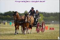 Photo n° 49202
Meslay du Maine CdF trait 2019 photo  M.A Jeanjean

Affichée 8 fois
Ajoutée le 06/10/2019 08:52:47 par JeanClaudeGrognet

--> Cliquer pour agrandir <--