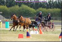 Photo n 49204&#10;Meslay du Maine CdF trait 2019 photo  M.A Jeanjean&#10;&#10;Affiche 23 fois&#10;Ajoute le 06/10/2019 08:52:47 par JeanClaudeGrognet&#10;&#10;--> Cliquer pour agrandir <--