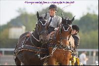 Photo n 49205&#10;Meslay du Maine CdF trait 2019 photo  M.A Jeanjean&#10;&#10;Affiche 32 fois&#10;Ajoute le 06/10/2019 08:52:48 par JeanClaudeGrognet&#10;&#10;--> Cliquer pour agrandir <--