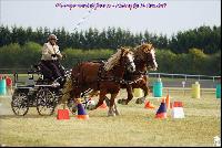 Photo n 49207&#10;Meslay du Maine CdF trait 2019 photo  M.A Jeanjean&#10;&#10;Affiche 20 fois&#10;Ajoute le 06/10/2019 08:52:48 par JeanClaudeGrognet&#10;&#10;--> Cliquer pour agrandir <--