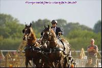 Photo n 49208&#10;Meslay du Maine CdF trait 2019 photo  M.A Jeanjean&#10;&#10;Affiche 17 fois&#10;Ajoute le 06/10/2019 08:52:48 par JeanClaudeGrognet&#10;&#10;--> Cliquer pour agrandir <--