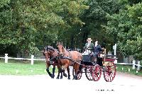 Photo n 49211&#10;La tradition au PIN-AU-HARAS 2019 Photo N. TOUDIC&#10;Bertrand MARECHAUX. Voiture Wagonnette attele  2 Cobs normands&#10;Affiche 6 fois&#10;Ajoute le 16/10/2019 13:50:11 par Nadinetoudic&#10;&#10;--> Cliquer pour agrandir <--