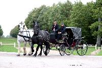 Photo n 49214&#10;La tradition au PIN-AU-HARAS 2019 Photo N. TOUDIC&#10;Bernard BOBLE. Voiture Landau attele  2 Percherons&#10;Affiche 15 fois&#10;Ajoute le 16/10/2019 13:50:11 par Nadinetoudic&#10;&#10;--> Cliquer pour agrandir <--