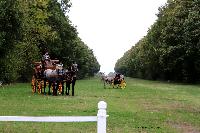 Photo n 49216&#10;La tradition au PIN-AU-HARAS 2019 Photo N. TOUDIC&#10;Patrice BIGET. Bruno GUIART&#10;Affiche 7 fois&#10;Ajoute le 16/10/2019 13:50:11 par Nadinetoudic&#10;&#10;--> Cliquer pour agrandir <--