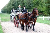 Photo n 49221&#10;La tradition au PIN-AU-HARAS 2019 Photo N. TOUDIC&#10;Bertrand MARECHAUX. Voiture Wagonnette attele  2 Cobs normands&#10;Affiche 4 fois&#10;Ajoute le 16/10/2019 13:50:11 par Nadinetoudic&#10;&#10;--> Cliquer pour agrandir <--