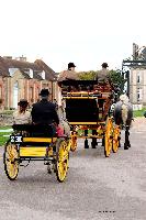 Photo n 49222&#10;La tradition au PIN-AU-HARAS 2019 Photo N. TOUDIC&#10;Bruno GUIARD. Patrice BIGET&#10;Affiche 10 fois&#10;Ajoute le 16/10/2019 13:50:11 par Nadinetoudic&#10;&#10;--> Cliquer pour agrandir <--
