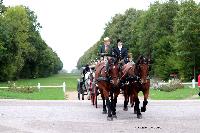 Photo n 49223&#10;La tradition au PIN-AU-HARAS 2019 Photo N. TOUDIC&#10;Bertrand MARECHAUX. Voiture Wagonnette attele  2 Cobs normands&#10;Affiche 3 fois&#10;Ajoute le 16/10/2019 13:50:11 par Nadinetoudic&#10;&#10;--> Cliquer pour agrandir <--
