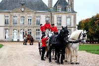 Photo n 49225&#10;La tradition au PIN-AU-HARAS 2019 Photo N. TOUDIC&#10;Anthony GOHIER. Voiture Grand Break attele  4 Percherons&#10;Affiche 13 fois&#10;Ajoute le 16/10/2019 13:50:11 par Nadinetoudic&#10;&#10;--> Cliquer pour agrandir <--