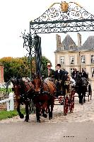 Photo n 49232&#10;La tradition au PIN-AU-HARAS 2019 Photo N. TOUDIC&#10;Bertrand MARECHAUX. Voiture Wagonnette attele  2 Cobs normands&#10;Affiche 4 fois&#10;Ajoute le 16/10/2019 13:50:11 par Nadinetoudic&#10;&#10;--> Cliquer pour agrandir <--