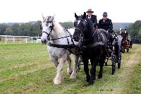 Photo n 49233&#10;La tradition au PIN-AU-HARAS 2019 Photo N. TOUDIC&#10;Bernard BOBLE. Voiture Landau attele  2 Percherons&#10;Affiche 21 fois&#10;Ajoute le 16/10/2019 13:50:12 par Nadinetoudic&#10;&#10;--> Cliquer pour agrandir <--