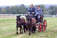 Photo n 49234&#10;La tradition au PIN-AU-HARAS 2019 Photo N. TOUDIC&#10;Christian GOLIARD. Voiture dos  dos attele  2 poneys Dartmoor&#10;Affiche 32 fois&#10;Ajoute le 16/10/2019 13:50:12 par Nadinetoudic&#10;&#10;--> Cliquer pour agrandir <--