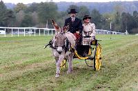 Photo n 49235&#10;La tradition au PIN-AU-HARAS 2019 Photo N. TOUDIC&#10;Bruno GUIARD. Voiture Petit Road Cart attele  un Ane du Cotentin&#10;Affiche 15 fois&#10;Ajoute le 16/10/2019 13:50:12 par Nadinetoudic&#10;&#10;--> Cliquer pour agrandir <--