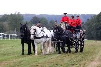 Photo n 49237&#10;La tradition au PIN-AU-HARAS 2019 Photo N. TOUDIC&#10;Anthony GOHIER. Voiture Grand Break attele  4 Percherons&#10;Affiche 38 fois&#10;Ajoute le 16/10/2019 13:50:12 par Nadinetoudic&#10;&#10;--> Cliquer pour agrandir <--