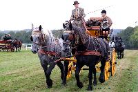 Photo n 49239&#10;La tradition au PIN-AU-HARAS 2019 Photo N. TOUDIC&#10;Patrice BIGET. Voiture Grand Break de chasse attele  2 Percherons&#10;Affiche 26 fois&#10;Ajoute le 16/10/2019 13:50:12 par Nadinetoudic&#10;&#10;--> Cliquer pour agrandir <--