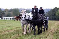 Photo n 49240&#10;La tradition au PIN-AU-HARAS 2019 Photo N. TOUDIC&#10;Bernard BOBLE. Voiture Landau attele  2 Percherons&#10;Affiche 11 fois&#10;Ajoute le 16/10/2019 13:50:12 par Nadinetoudic&#10;&#10;--> Cliquer pour agrandir <--