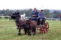 Photo n 49242&#10;La tradition au PIN-AU-HARAS 2019 Photo N. TOUDIC&#10;Christian GOLIARD. Voiture dos  dos attele  2 poneys Dartmoor&#10;Affiche 15 fois&#10;Ajoute le 16/10/2019 13:50:12 par Nadinetoudic&#10;&#10;--> Cliquer pour agrandir <--