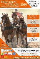Photo n 49335&#10;vos affiches 2019&#10;&#10;Affiche 9 fois&#10;Ajoute le 06/12/2019 15:50:37 par JeanClaudeGrognet&#10;&#10;--> Cliquer pour agrandir <--