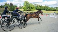 Photo n 49948&#10;CAI Le PIN 2020 photo Mlanie Guillamot ByMgpLive&#10;Marion Vignaud&#10;Affiche 12 fois&#10;Ajoute le 29/07/2020 09:08:06 par JeanClaudeGrognet&#10;&#10;--> Cliquer pour agrandir <--