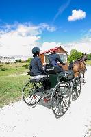 Photo n 49957&#10;CAI Le PIN 2020 photo Mlanie Guillamot ByMgpLive&#10;&#10;Affiche 7 fois&#10;Ajoute le 29/07/2020 09:08:06 par JeanClaudeGrognet&#10;&#10;--> Cliquer pour agrandir <--