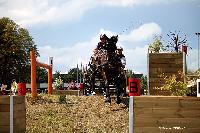 Photo n 50067&#10;LISIEUX At 2020 Photo Nadine TOUDIC&#10;Nathalie HOYAU&#10;Affiche 8 fois&#10;Ajoute le 20/08/2020 05:16:25 par Nadinetoudic&#10;&#10;--> Cliquer pour agrandir <--