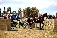 Photo n 50075&#10;LISIEUX At 2020 Photo Nadine TOUDIC&#10;Paul HEDIGER&#10;Affiche 8 fois&#10;Ajoute le 20/08/2020 05:16:25 par Nadinetoudic&#10;&#10;--> Cliquer pour agrandir <--