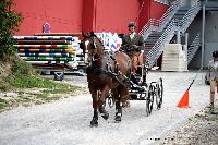 Photo n 50122&#10;SAINT-LO Septembre 2020. Photo N. TOUDIC&#10;David GUERIN&#10;Affiche 9 fois&#10;Ajoute le 18/09/2020 11:28:27 par Nadinetoudic&#10;&#10;--> Cliquer pour agrandir <--