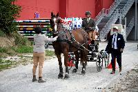 Photo n 50123&#10;SAINT-LO Septembre 2020. Photo N. TOUDIC&#10;Herv MASSU, commissaire&#10;Affiche 14 fois&#10;Ajoute le 18/09/2020 11:28:27 par Nadinetoudic&#10;&#10;--> Cliquer pour agrandir <--