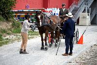 Photo n 50124&#10;SAINT-LO Septembre 2020. Photo N. TOUDIC&#10;Herv MASSU, commissaire&#10;Affiche 9 fois&#10;Ajoute le 18/09/2020 11:28:27 par Nadinetoudic&#10;&#10;--> Cliquer pour agrandir <--