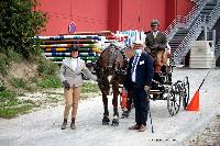 Photo n 50126&#10;SAINT-LO Septembre 2020. Photo N. TOUDIC&#10;Herv MASSU, commissaire&#10;Affiche 13 fois&#10;Ajoute le 18/09/2020 11:28:27 par Nadinetoudic&#10;&#10;--> Cliquer pour agrandir <--