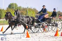 Photo n 50330&#10;Lignires CdF 2020 photo MGPY Mlanie Guillamot&#10;Vincent Srazin&#10;Affiche 25 fois&#10;Ajoute le 19/10/2020 12:05:03 par JeanClaudeGrognet&#10;&#10;--> Cliquer pour agrandir <--