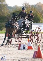 Photo n 50338&#10;Lignires CdF 2020 photo MGPY Mlanie Guillamot&#10;Caroline Guillemont&#10;Affiche 16 fois&#10;Ajoute le 19/10/2020 12:05:03 par JeanClaudeGrognet&#10;&#10;--> Cliquer pour agrandir <--