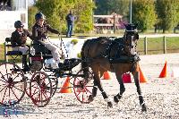 Photo n 50340&#10;Lignires CdF 2020 photo MGPY Mlanie Guillamot&#10;Caroline Guillemont&#10;Affiche 14 fois&#10;Ajoute le 19/10/2020 12:05:03 par JeanClaudeGrognet&#10;&#10;--> Cliquer pour agrandir <--