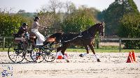 Photo n 50343&#10;Lignires CdF 2020 photo MGPY Mlanie Guillamot&#10;Claire Lefort&#10;Affiche 9 fois&#10;Ajoute le 19/10/2020 12:05:03 par JeanClaudeGrognet&#10;&#10;--> Cliquer pour agrandir <--
