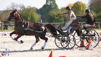 Photo n 50346&#10;Lignires CdF 2020 photo MGPY Mlanie Guillamot&#10;Claire Lefort&#10;Affiche 15 fois&#10;Ajoute le 19/10/2020 12:05:03 par JeanClaudeGrognet&#10;&#10;--> Cliquer pour agrandir <--